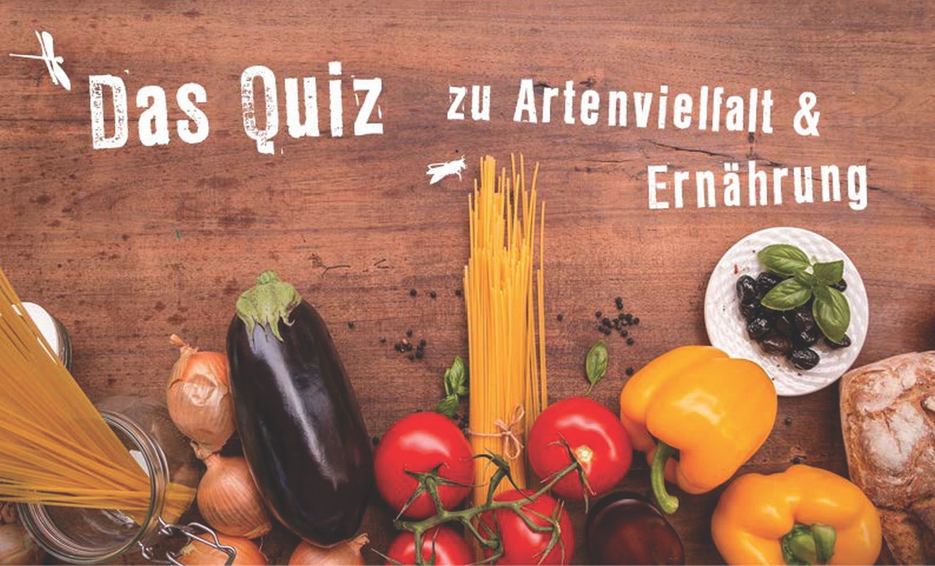 Onlinequiz Artenvielfalt und Ernährung